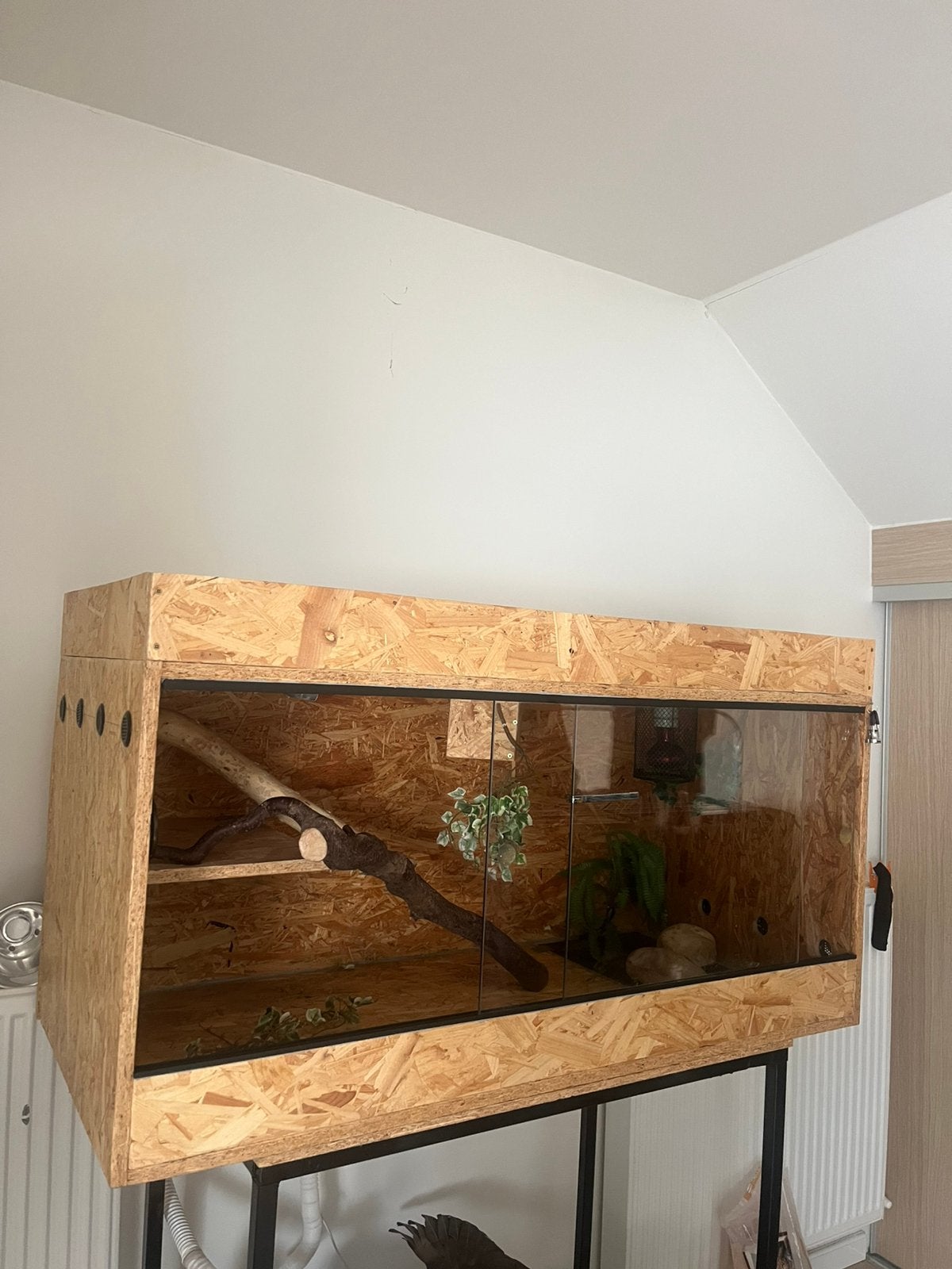 Terrarium in OSB, Dieren en Toebehoren, Ophalen, Zo goed als nieuw