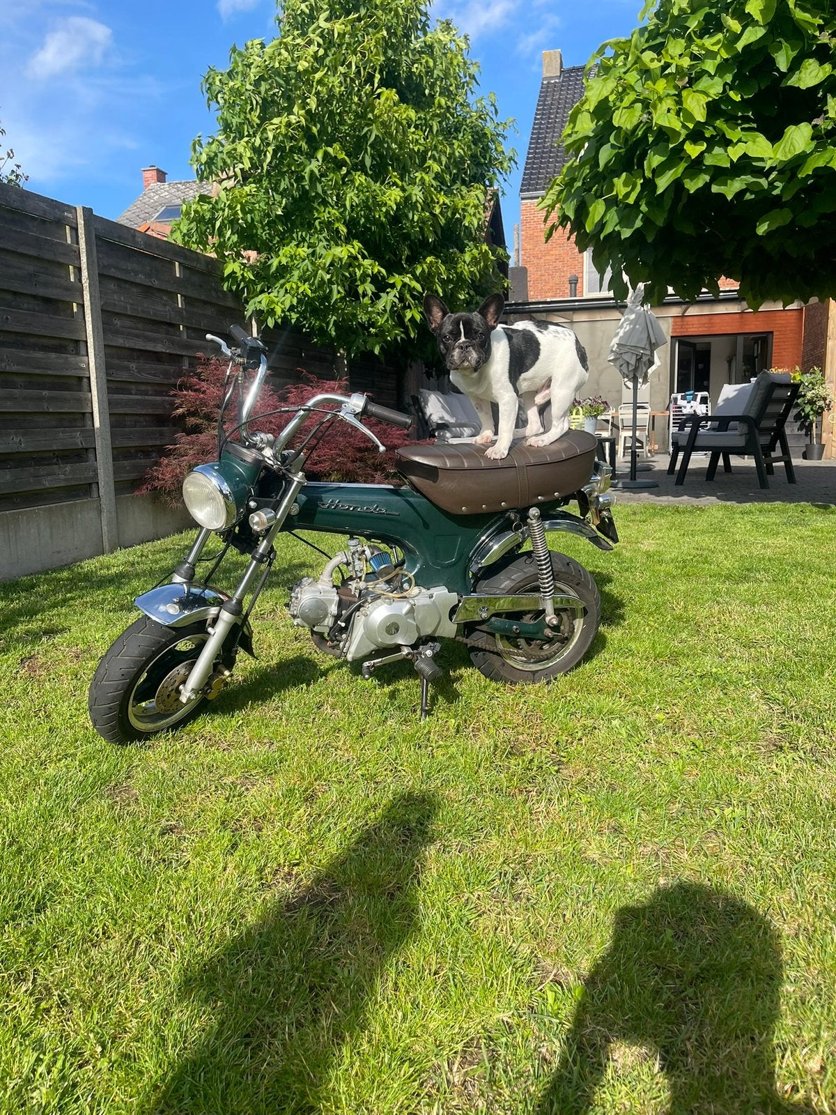 Dax B-klasse, Motoren, 2 cilinders, Sportuitlaat, Particulier, Overig