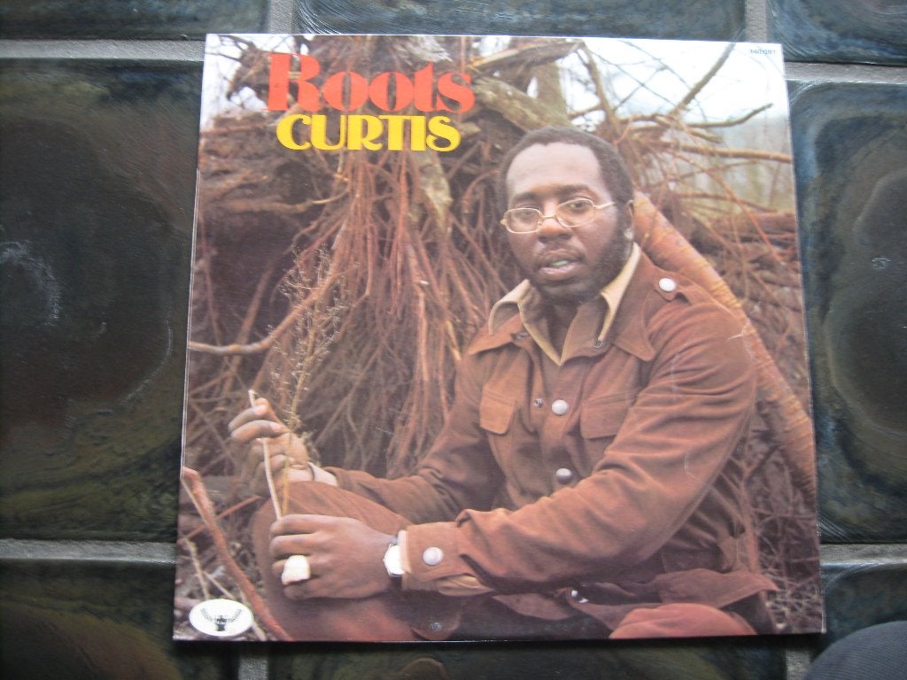 curtis mayfield roots french made lp, CD & DVD, Vinyles | R&B & Soul, Enlèvement ou Envoi, Funk, Avec pochette intérieure, Utilisé