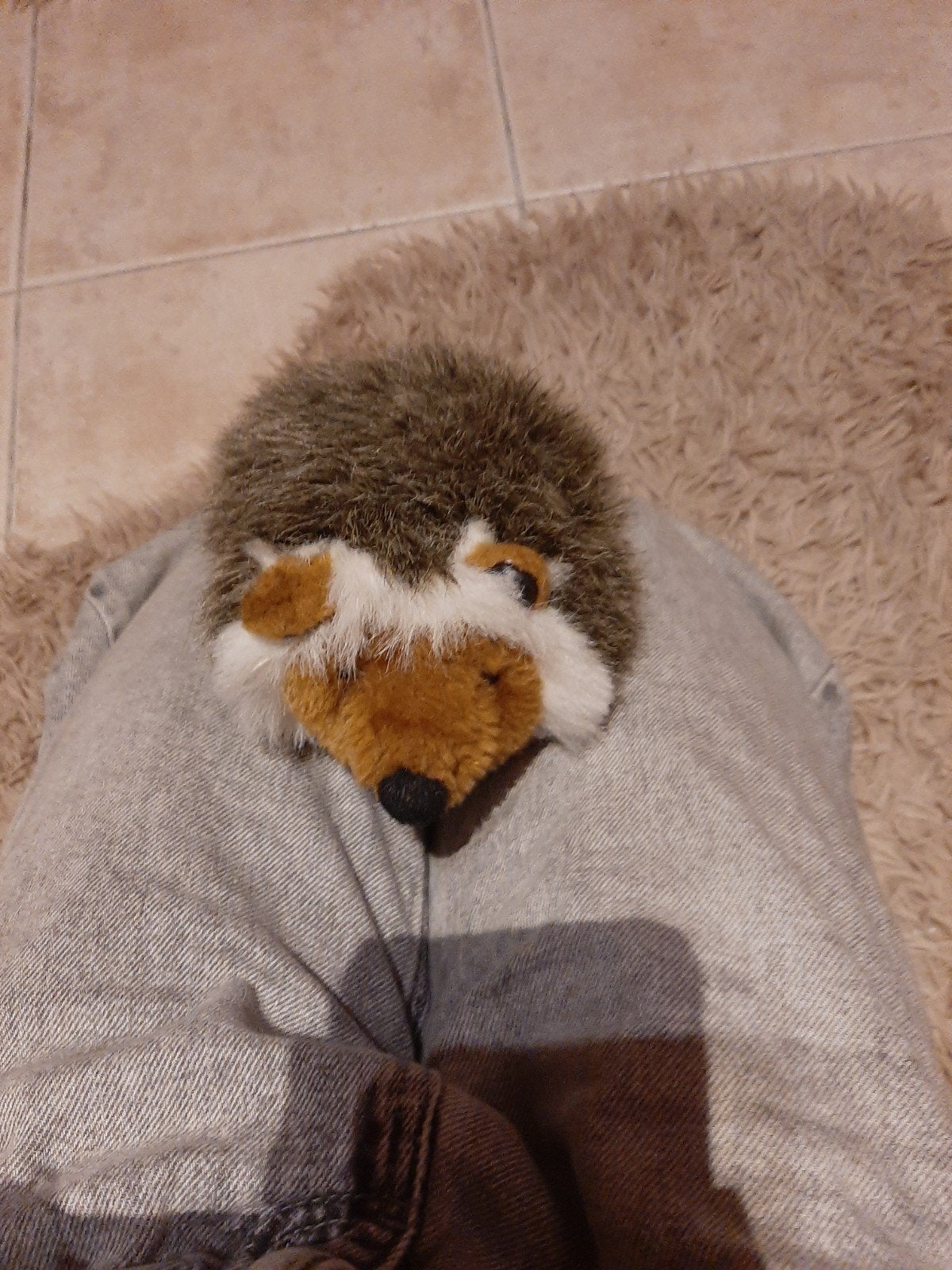 knuffel egel, Ophalen of Verzenden