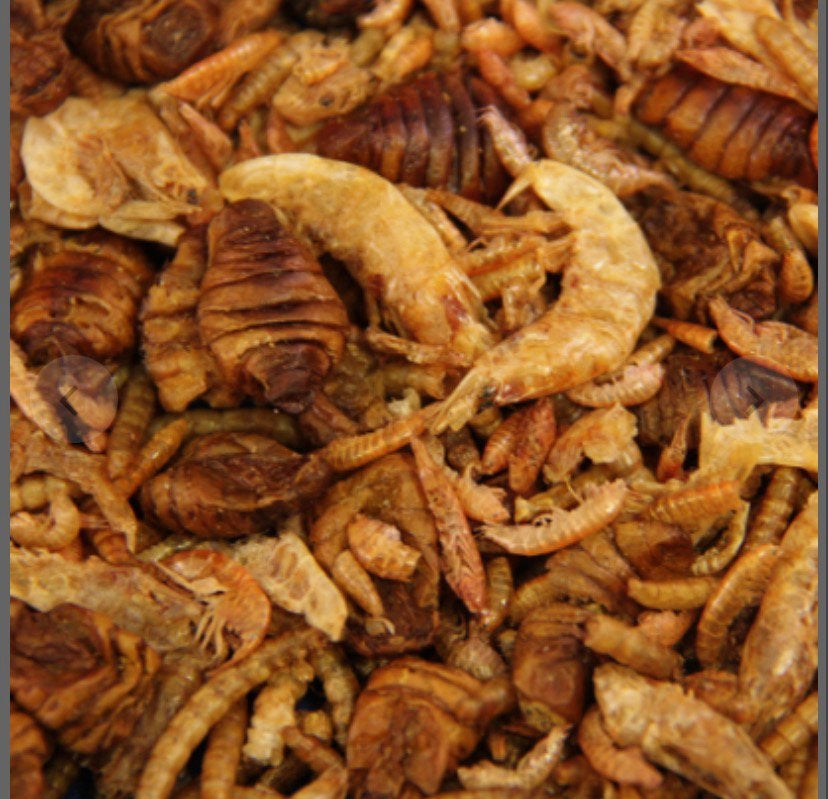 Koivoer: Natuurmix puur, Dieren en Toebehoren