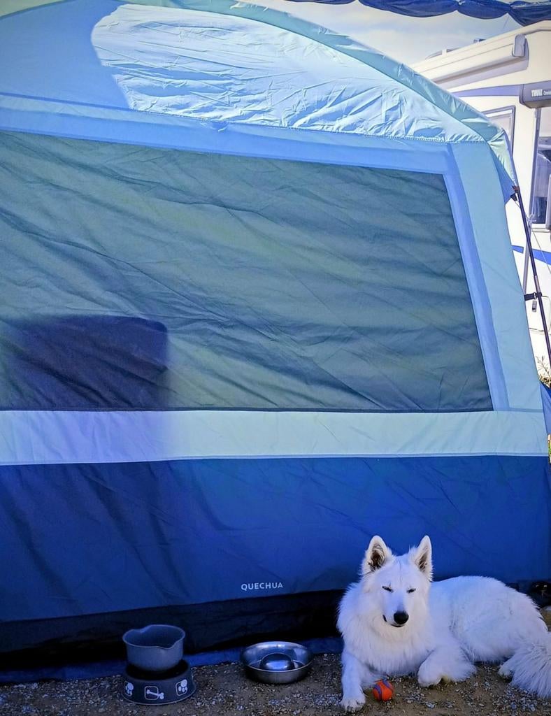 Tent aprenaz base, Enlèvement