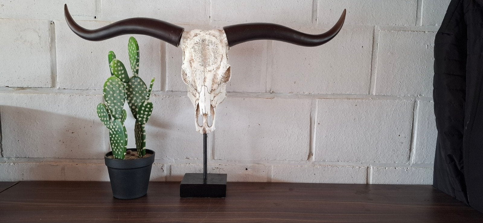tete de buffle et cactus, Enlèvement