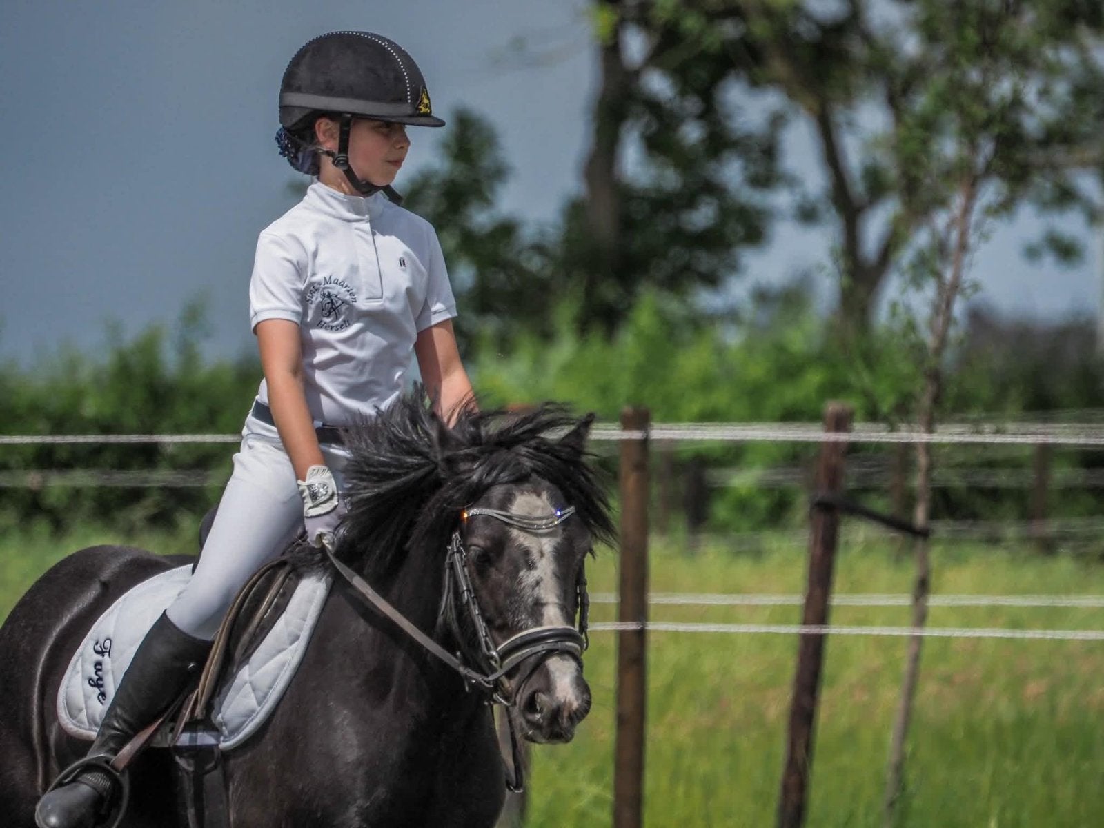Super lieve C-pony te koop, Dieren en Toebehoren, Merrie, Recreatiepony, 11 jaar of ouder