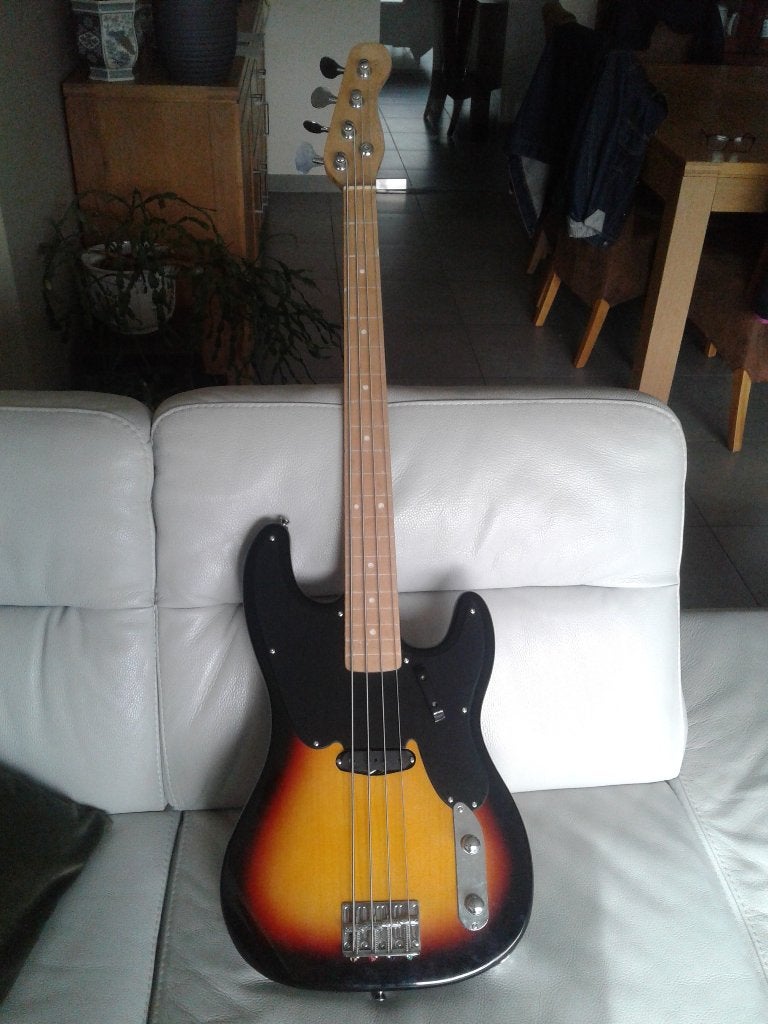 Boitier chargé pour guitare basse, Enlèvement, Neuf, Guitare basse électrique