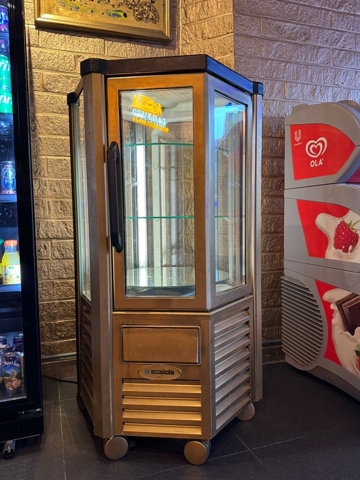 SCAIOLA Koelvitrine - Perfect voor Horeca, Ophalen