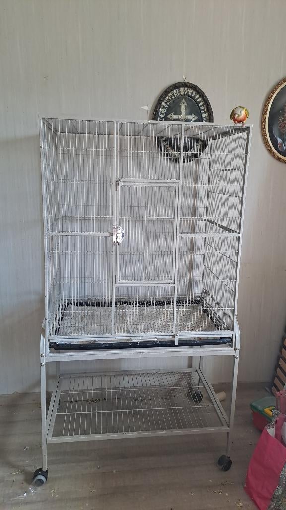 Vogelkooi te koop, Enlèvement ou Envoi, Utilisé, Métal, Cage à oiseaux