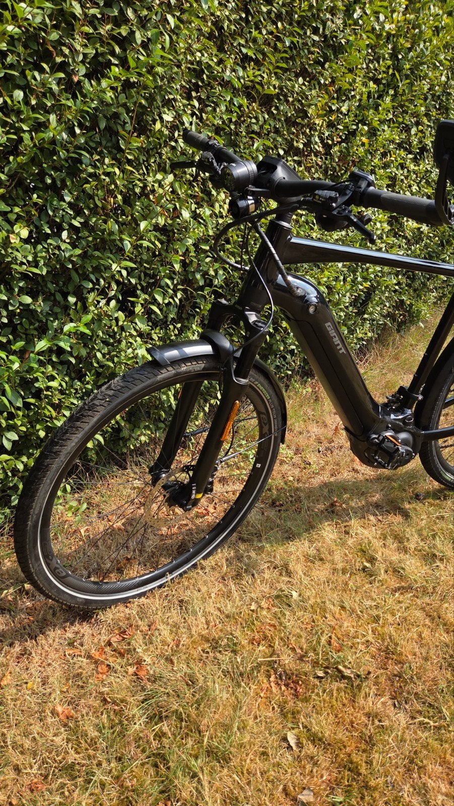 Giant Speed pedelec in nieuwstaat!, Fietsen en Brommers, Elektrische fietsen, Ophalen, Nieuw, Giant, 59 cm of meer