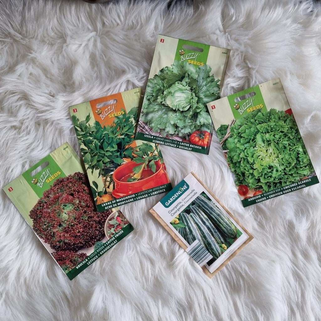 Zaden voor moestuin - ideaal voor nieuwe seizoen!, Tuin en Terras, Ophalen of Verzenden