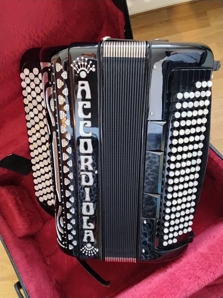 Accordeon, Muziek en Instrumenten, Ophalen, Met koffer, Knopaccordeon, 120-bas