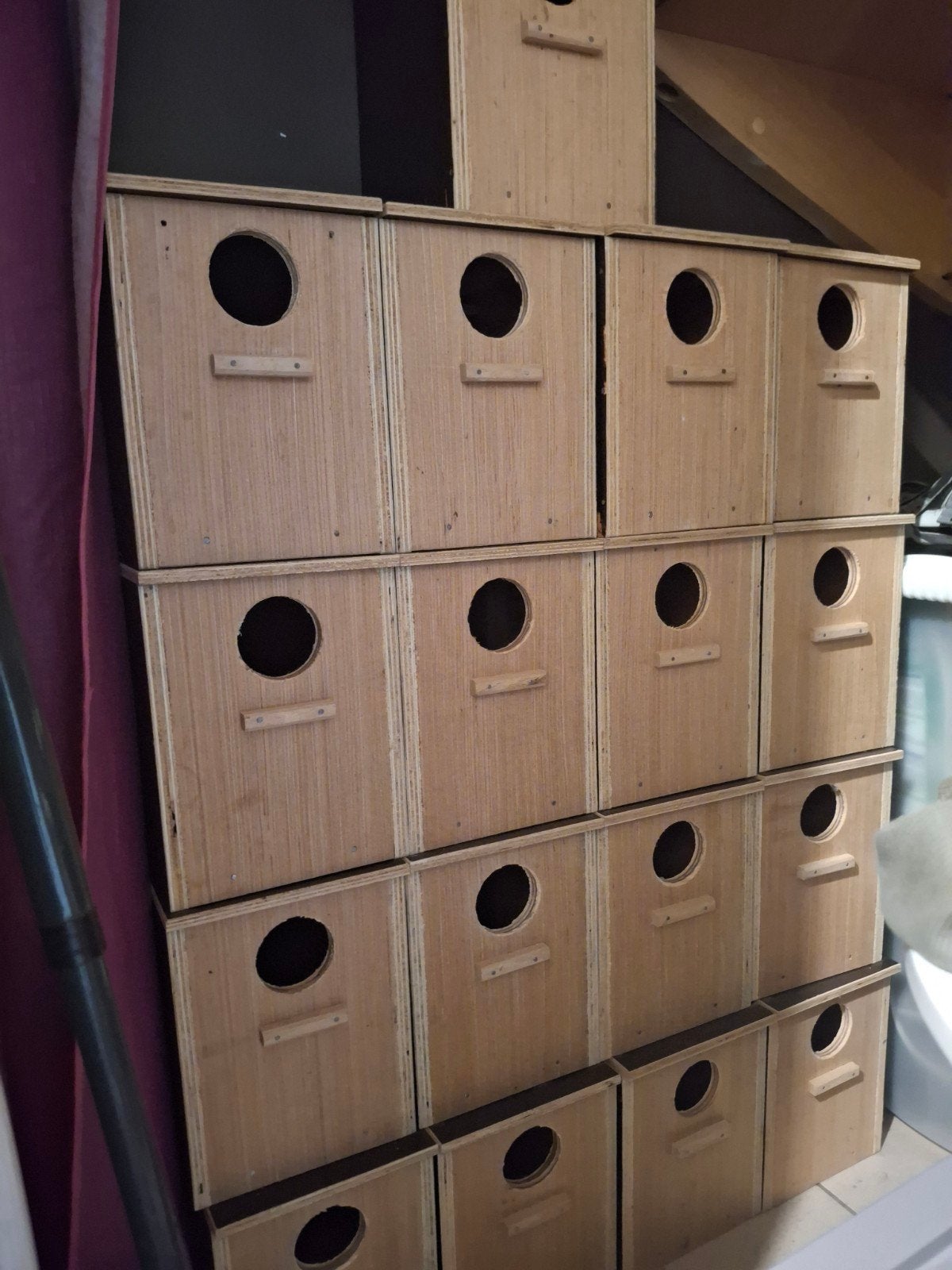 Nichoirs, Enlèvement