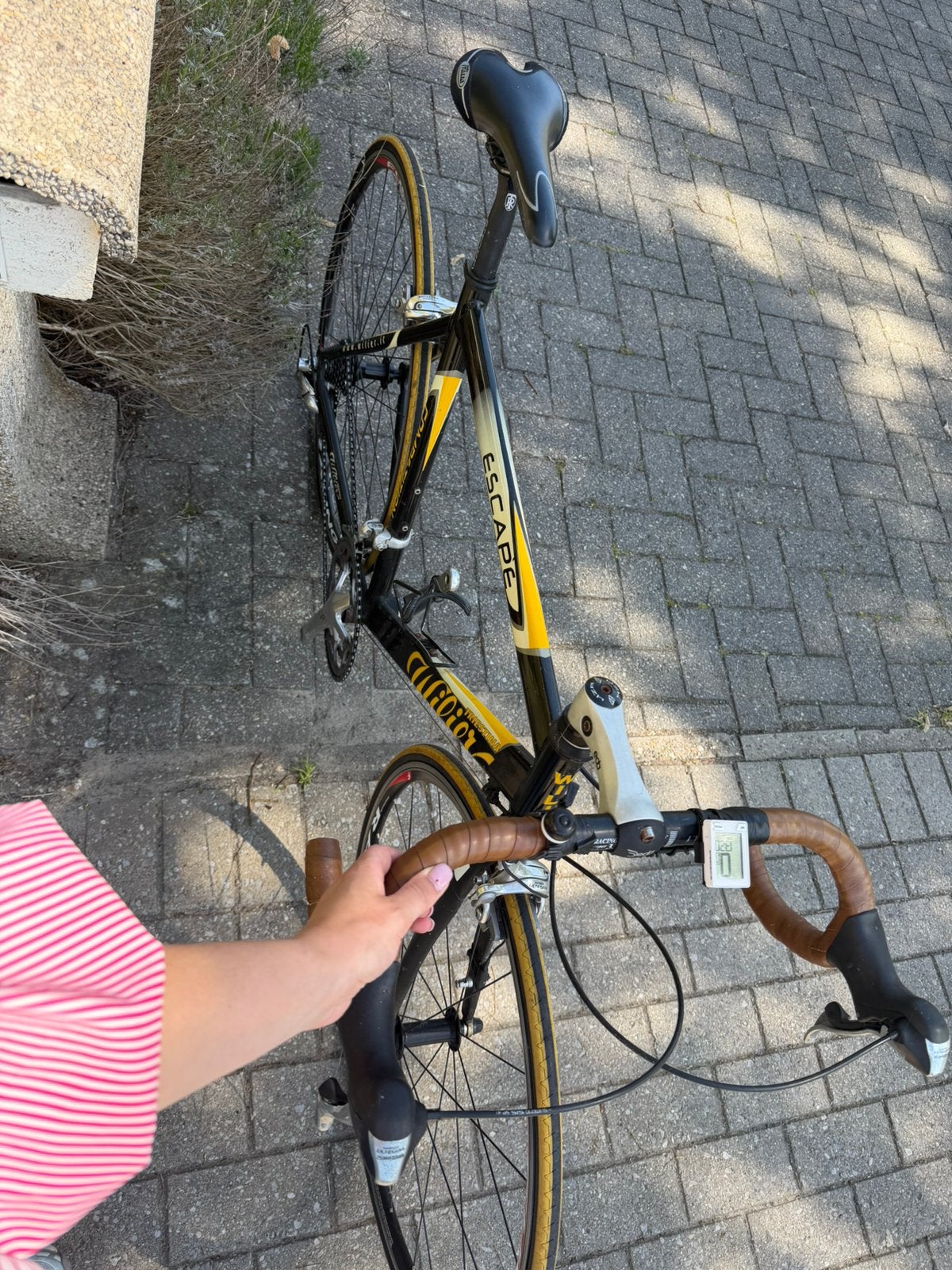 Retro koersfiets Williers, Fietsen en Brommers, Ophalen