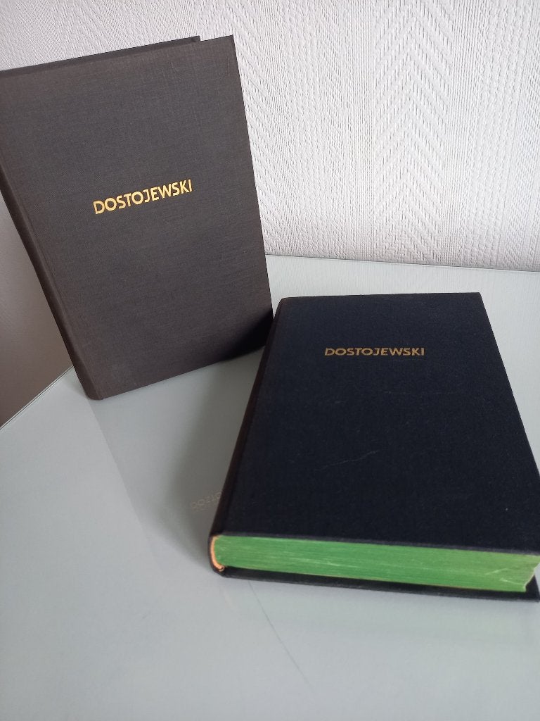 Het leven van een groot zondaar (Dostojewski), Gelezen, België, Ophalen of Verzenden, Alja Rachmanova