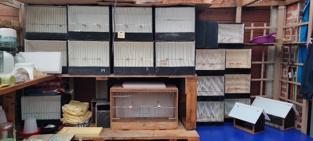 Groot lot vogelmateriaal (alles moet weg), Animaux & Accessoires, Oiseaux | Accessoires, Enlèvement, Utilisé, Autres types