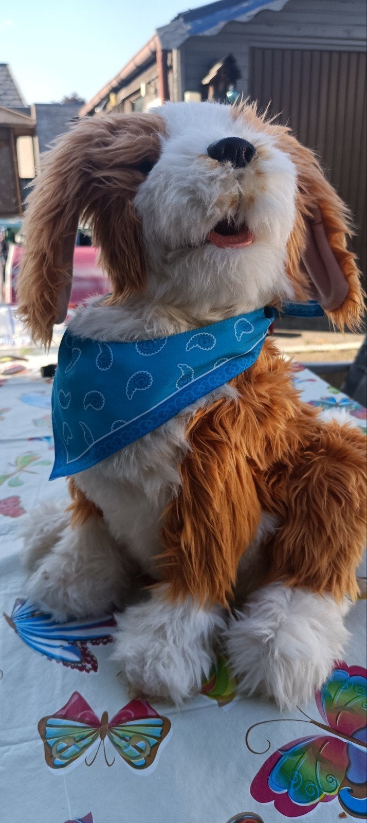 Therapie hond voor dementie, Ophalen