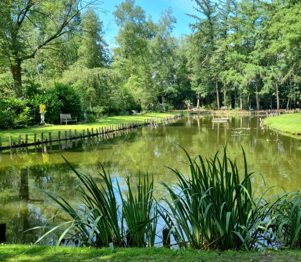 Vissen gezocht (privé vijver 1600m2), Dieren en Toebehoren, Vissen | Vijvervissen, Karper of Koi