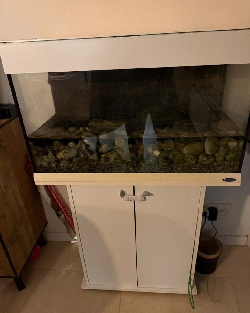 Te koop aquarium, Dieren en Toebehoren, Ophalen, Pomp
