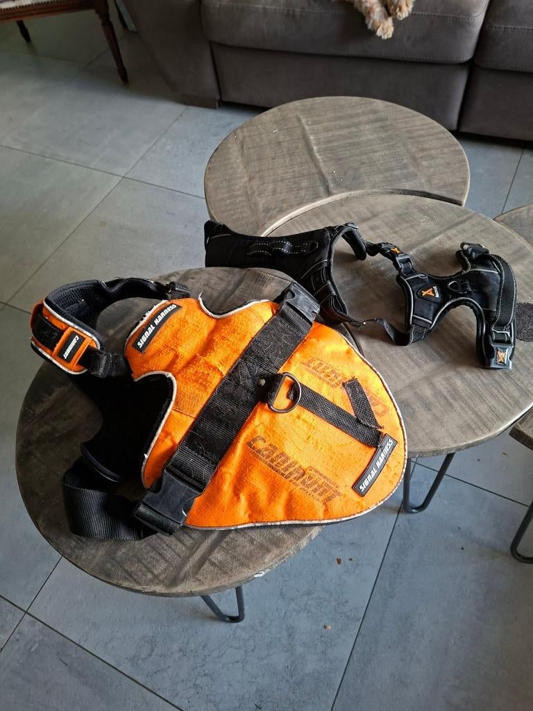 Armais pour chien de chasse, Enlèvement, Utilisé