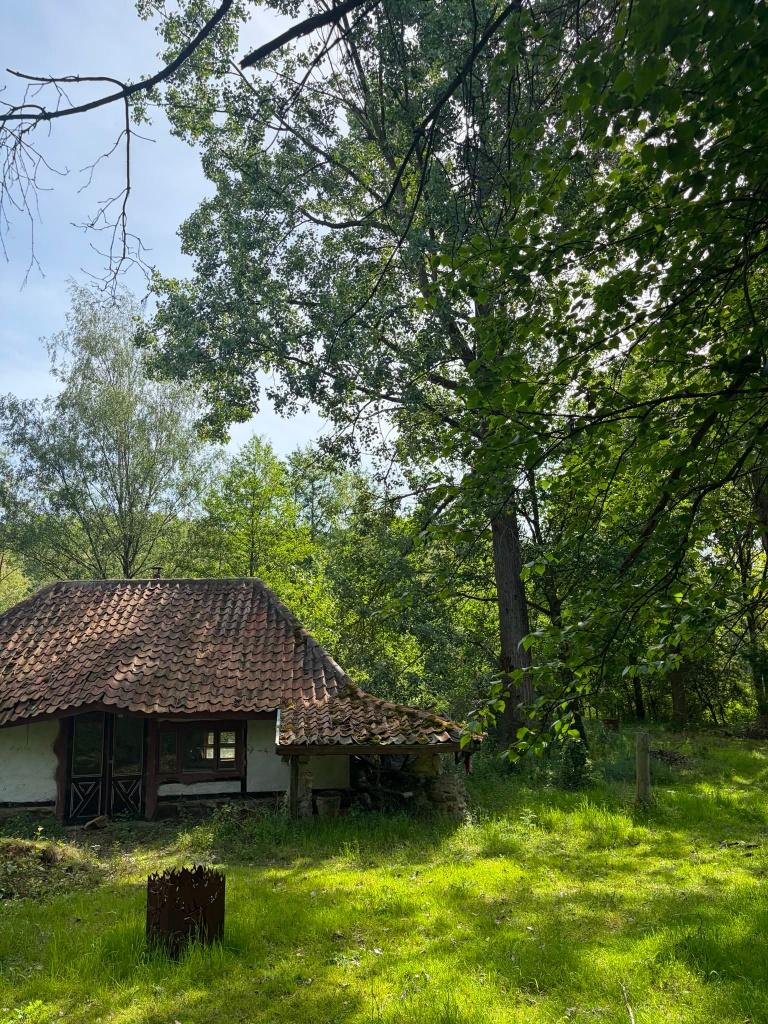Vakantieverblijf met grote vijver (Oudsbergen)
