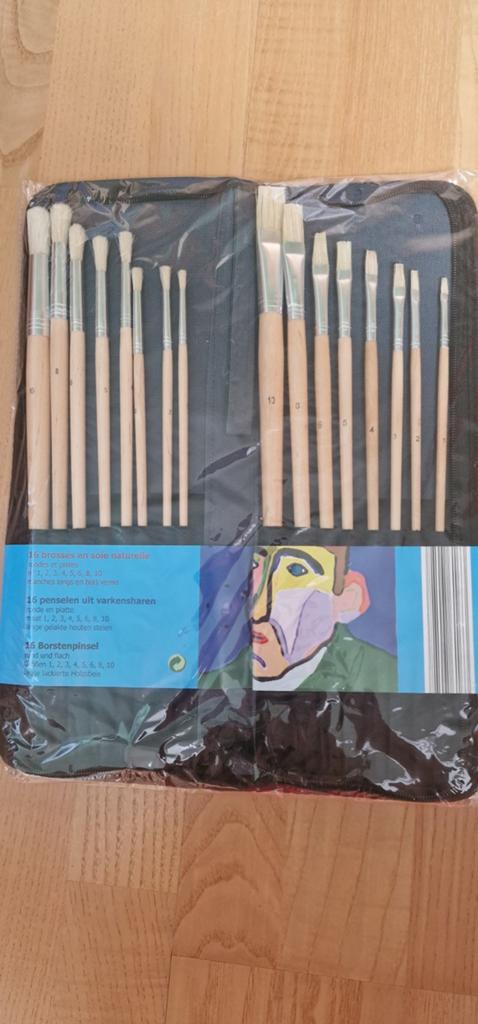16 brosses en poils de sanglier, rondes et plates, neuves, Enlèvement ou Envoi, Neuf, Autres types