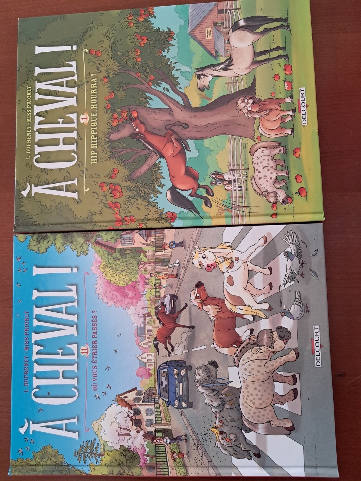 BD À Cheval, Enlèvement