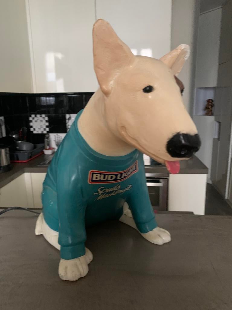 Bud light dog with tuxido, Enlèvement