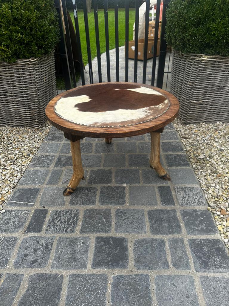 Salontafel in koe vel poten herten taxidermie, Enlèvement, Comme neuf