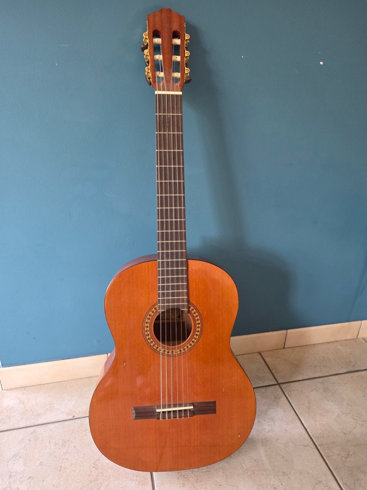 Guitare Salvador Cortez C22, Musique & Instruments, Enlèvement