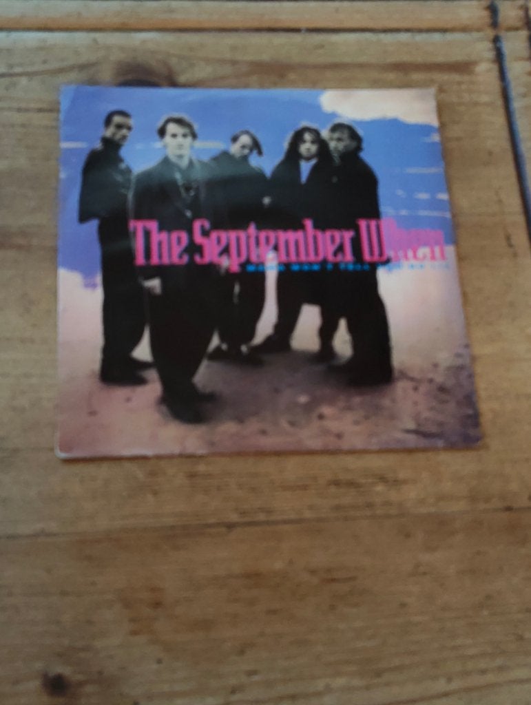 Single van The September When, CD & DVD, Vinyles Singles, Enlèvement ou Envoi, 7 inch, Utilisé, Rock et Metal