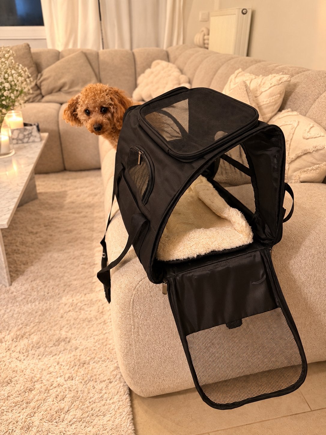 Nouveau sac de transport pour petit chien ou chat, Enlèvement, Comme neuf