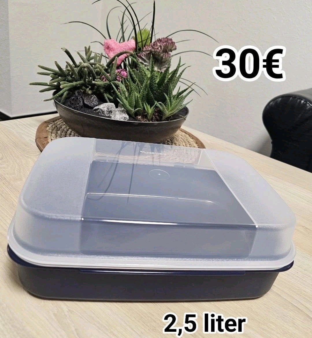 Boîte à charnières Tupperware, Enlèvement ou Envoi, Neuf