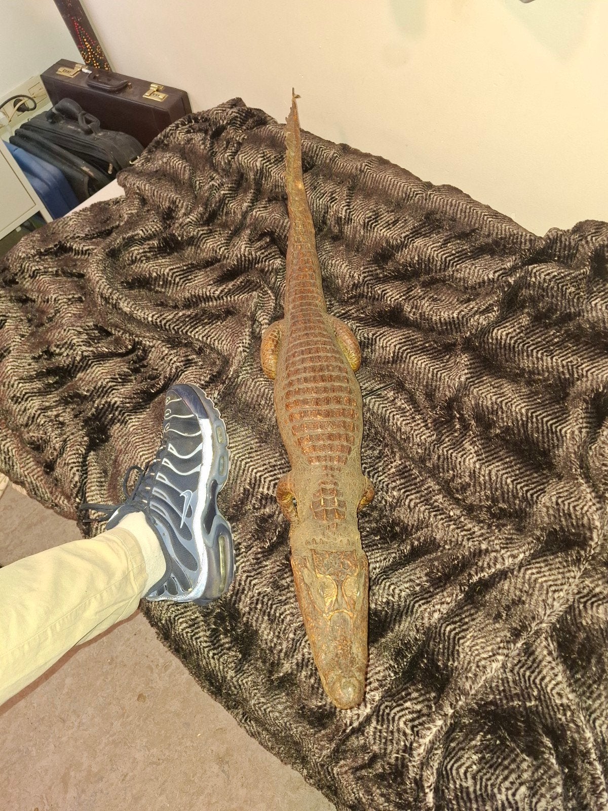Opgezette aligator, Dieren en Toebehoren, Ophalen