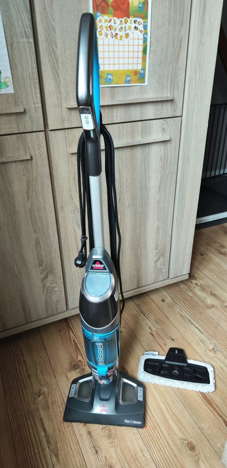 aspirateur et nettoyeur à vapeur Bissell en 1, Electroménager, Enlèvement, Nettoyeur vapeur