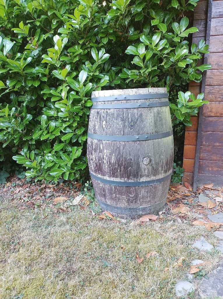 tonneau à vin en chêne 225L - baril de pluie - bac à fleurs, Enlèvement