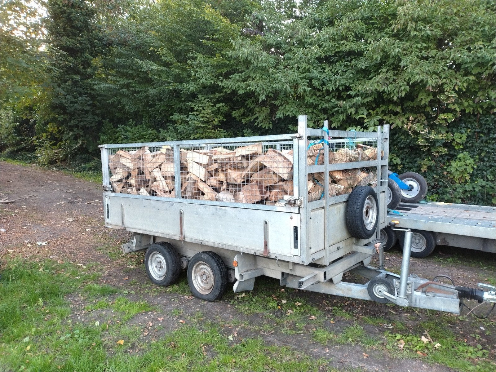 Aanhanger hardhout te koop. Eik, beuk, haagbeuk, es, 3 à 6 m³, Enlèvement, Bûches
