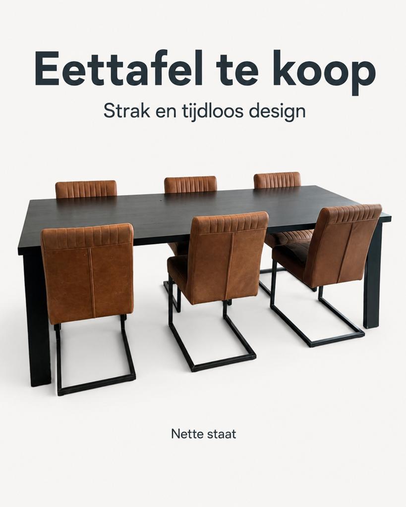 Eettafel mangohout stalen poten (8p +2p), Enlèvement, Utilisé, Modern, 6 à 8 chaises