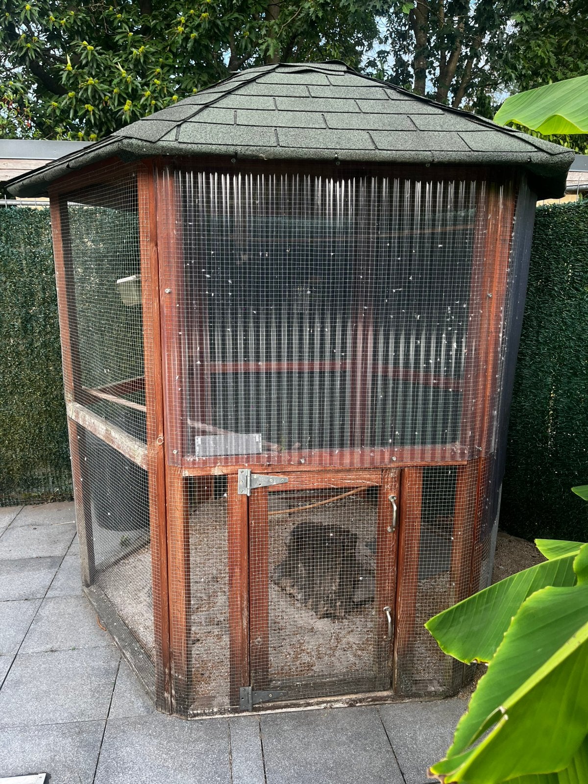 Volière, Dieren en Toebehoren, Ophalen, Gebruikt, Hout, Volière