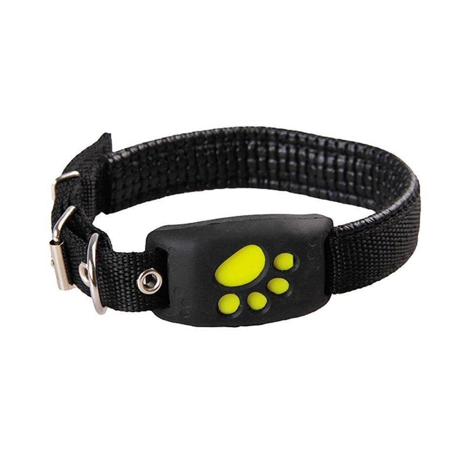 GPS-halsband voor huisdieren — realtime tracking