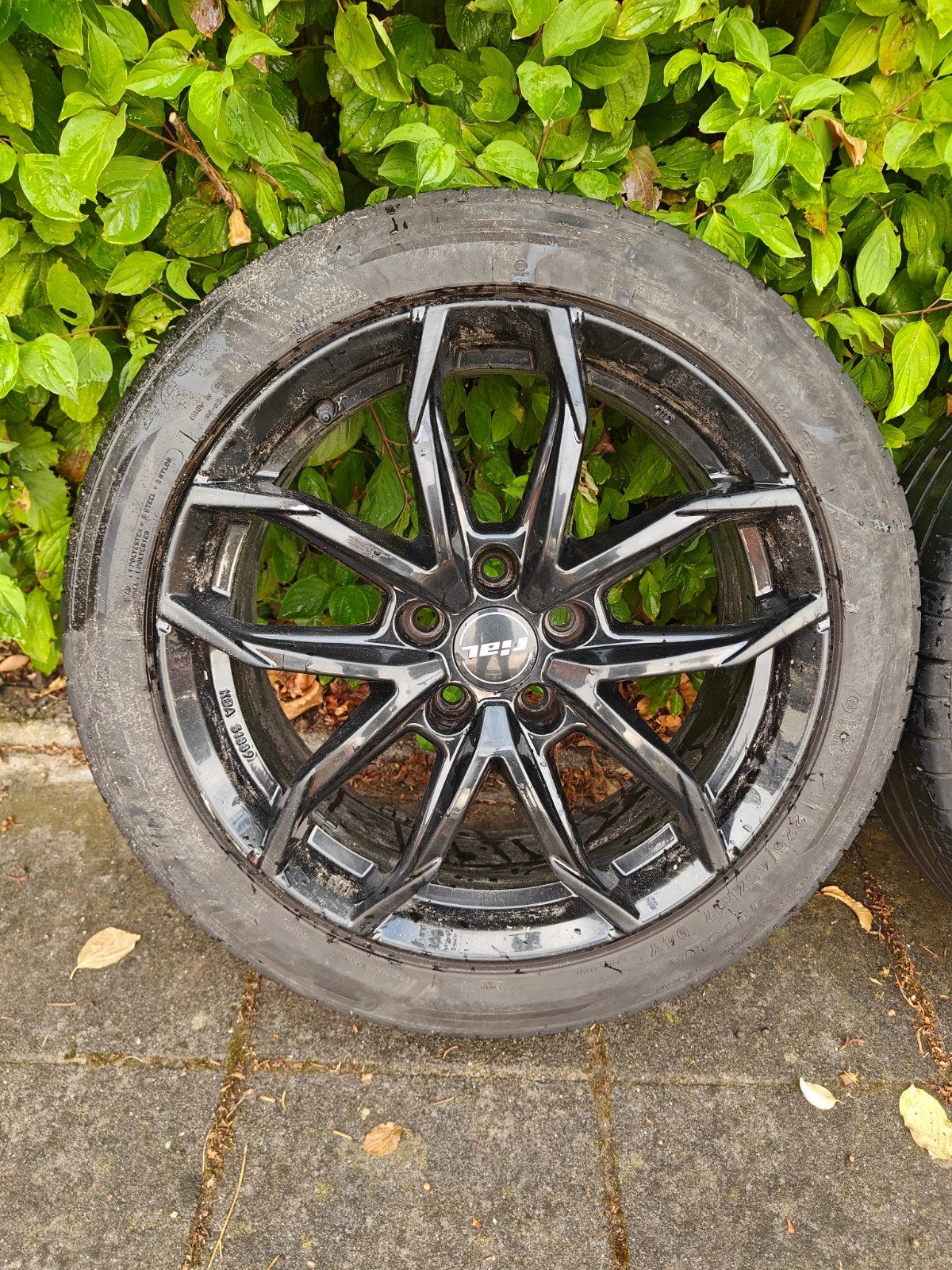 velgen rial  inche 17, Ophalen, 17 inch, Velg(en)
