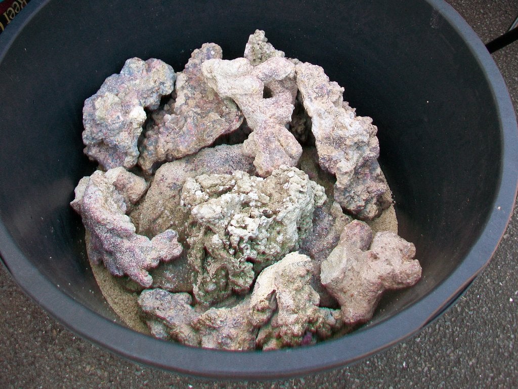 Een mooie mix gesteente, voor zoutwater of zoet, Dieren en Toebehoren, Ophalen, Gebruikt, Plant(en), Steen of Hout, Overige merken