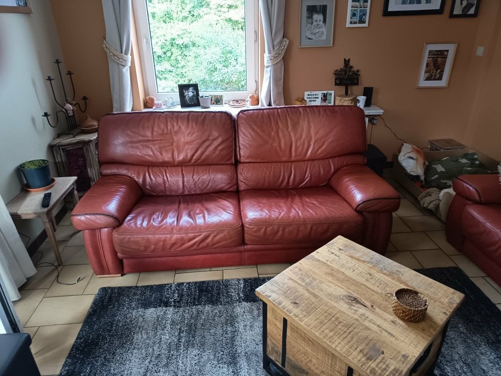 lederen salon, Landelijk, Enlèvement, Utilisé, Cuir