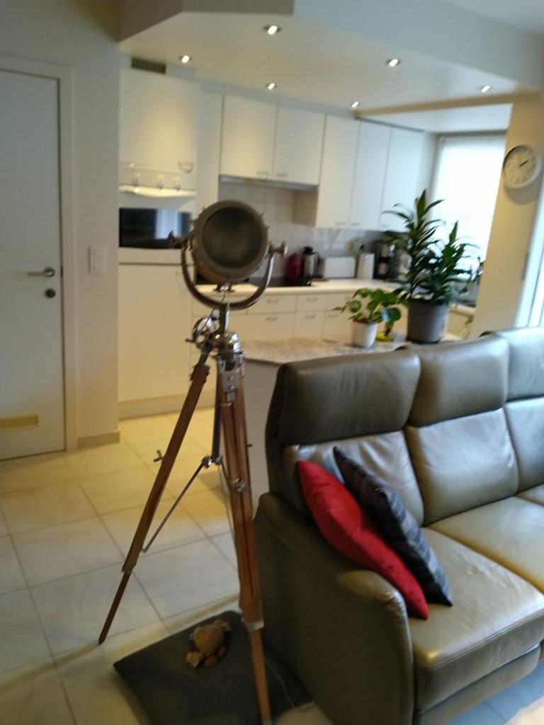 Salon en eetkamer te koop, Ophalen