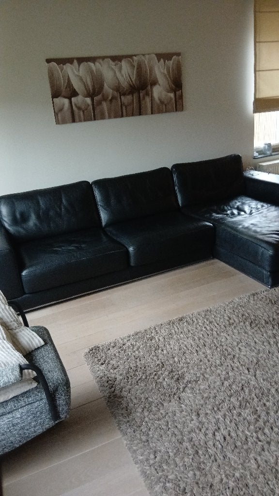 Lederen Salon 2.3m 1.8m, Huis en Inrichting, Ophalen, Gebruikt, Leer, Modern