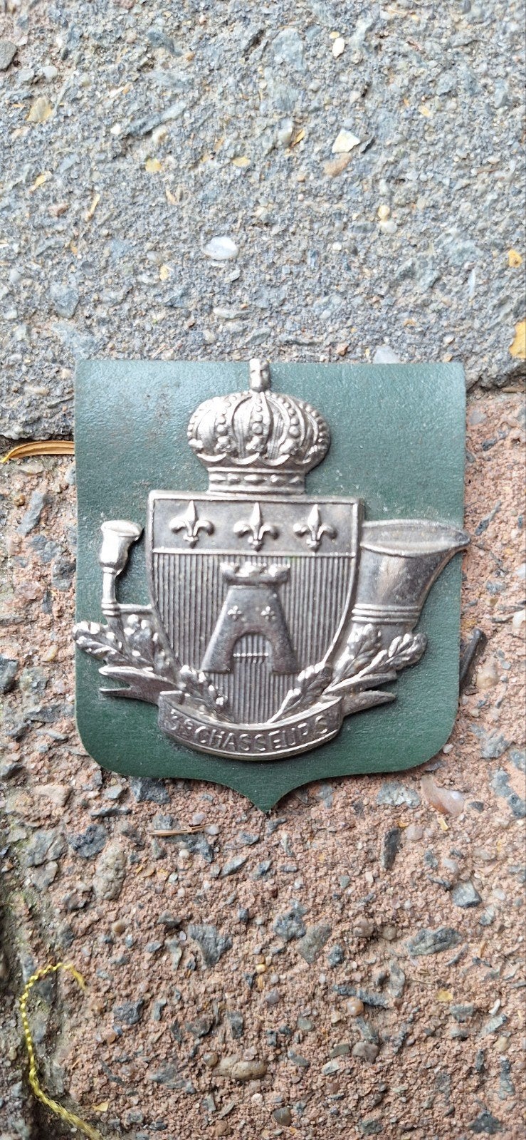 Insigne 3e Chasseurs, Collections, Enlèvement