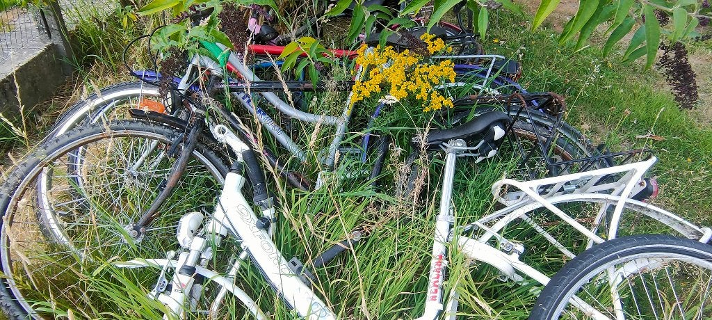 6 Gratis (kapotte) fietsen, Fietsen en Brommers, Ophalen, Gebruikt, Overige merken