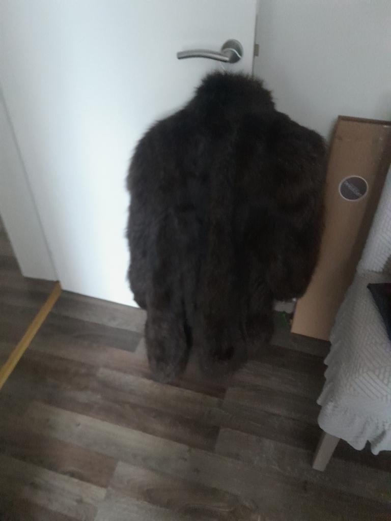 Zilvervos  mantel 3/4, Enlèvement ou Envoi, Taille 46/48 (XL) ou plus grande