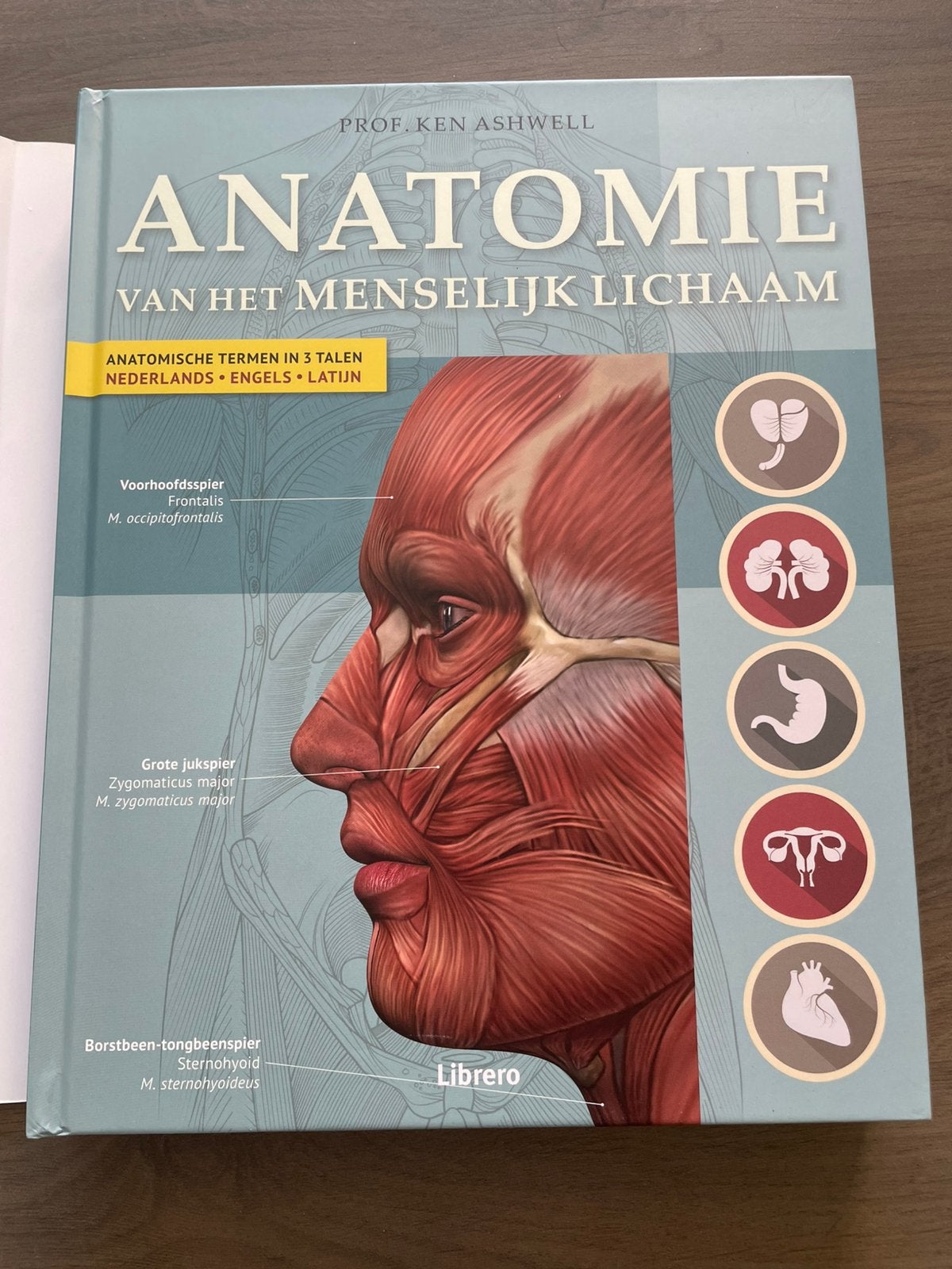 Anatomie van het menselijk lichaam, Boeken, Zwangerschap en Opvoeding, Ophalen, Zo goed als nieuw