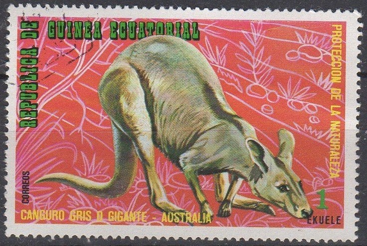 Equatoriaal Guinea - Oostelijke grijze kangoeroe 1974, Verzenden, Postfris