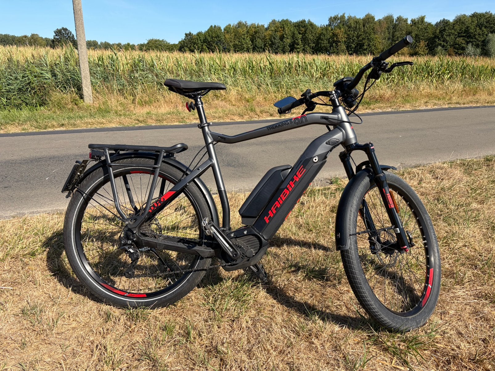 Speedpedelec HAIBIKE SDURO Trekking 9.0, Enlèvement, Utilisé, 50 km par batterie ou plus, Autres marques