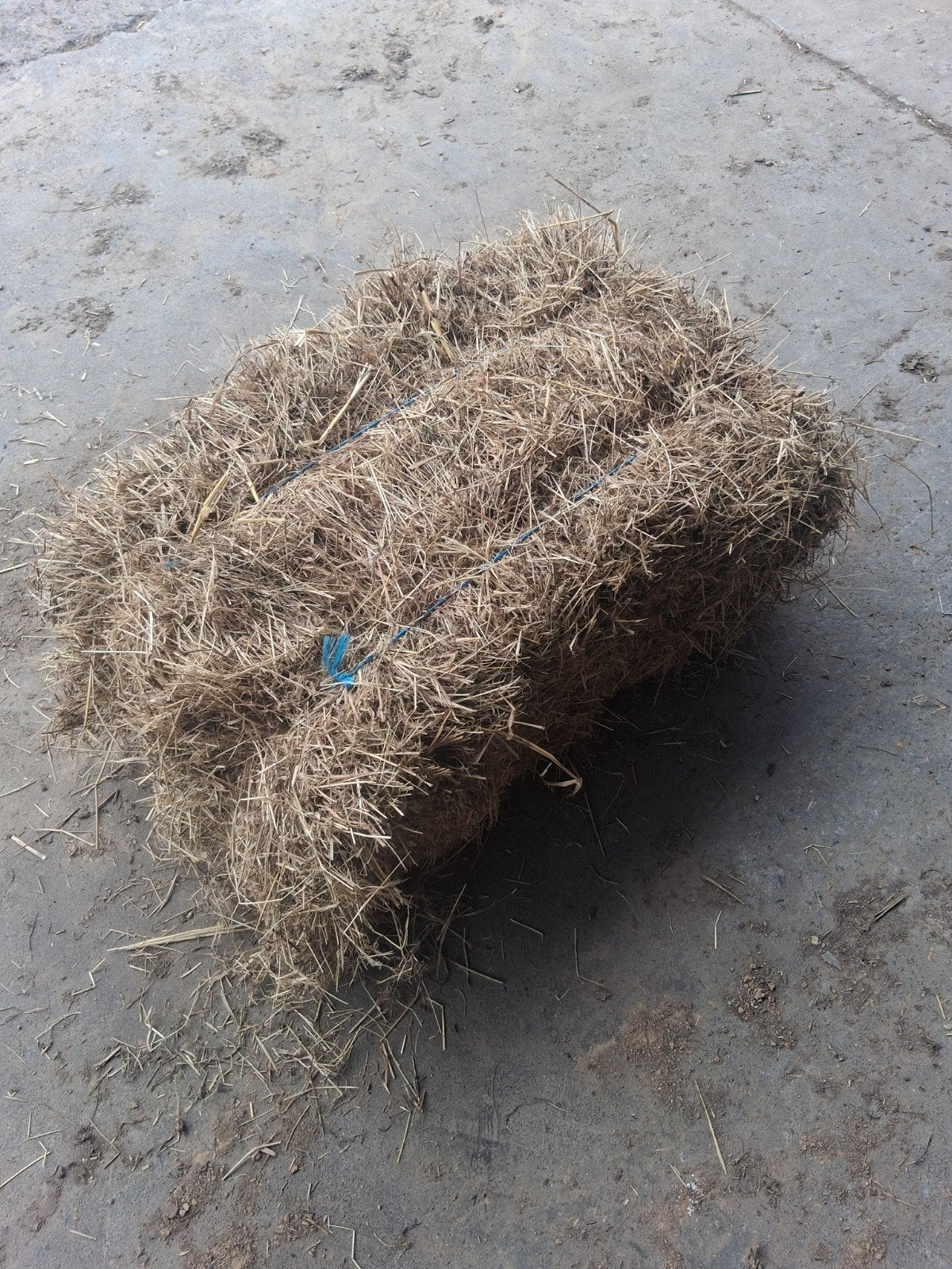 Kleine en midibalen hooi en stro, Dieren en Toebehoren